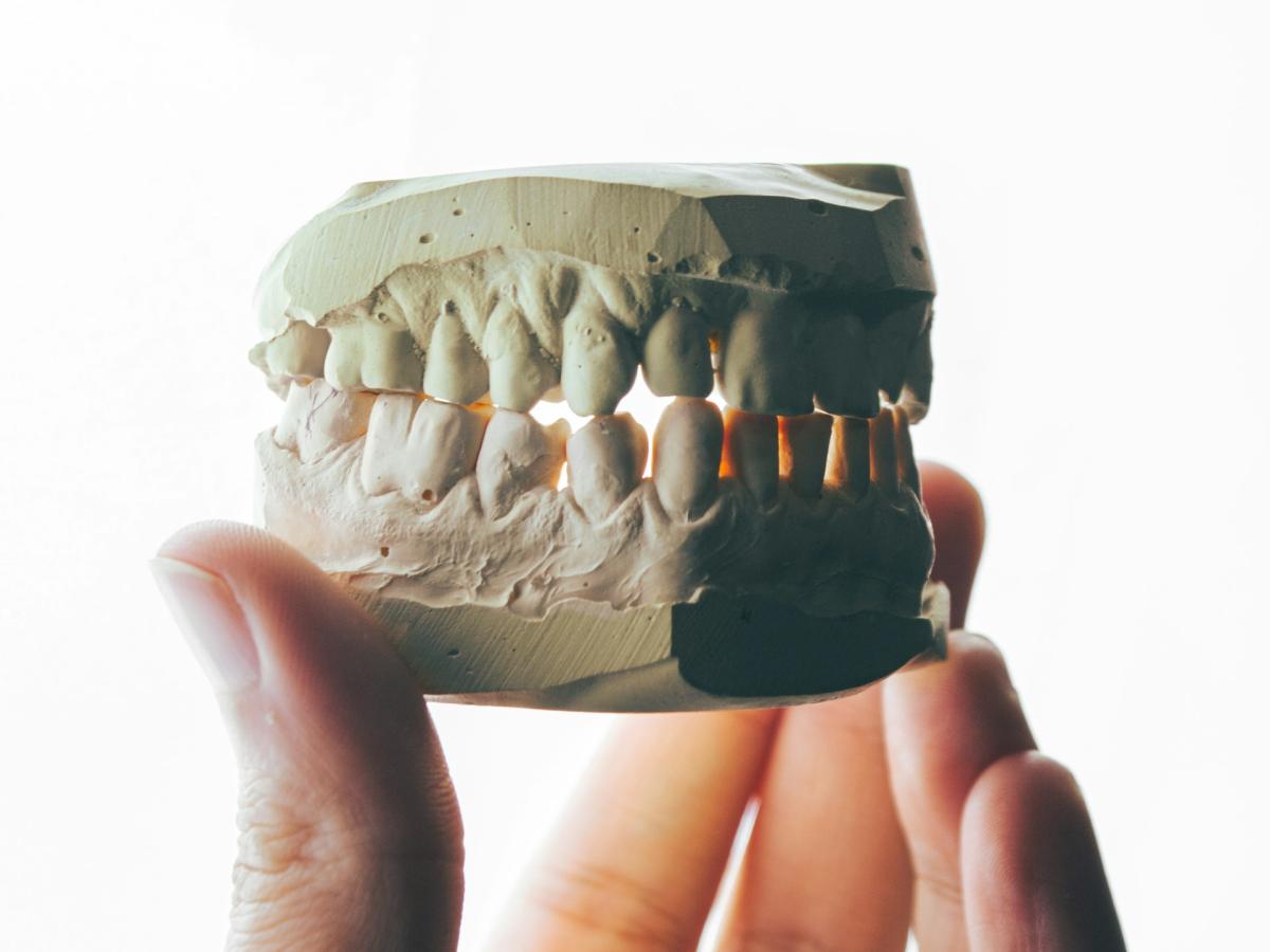 jaw